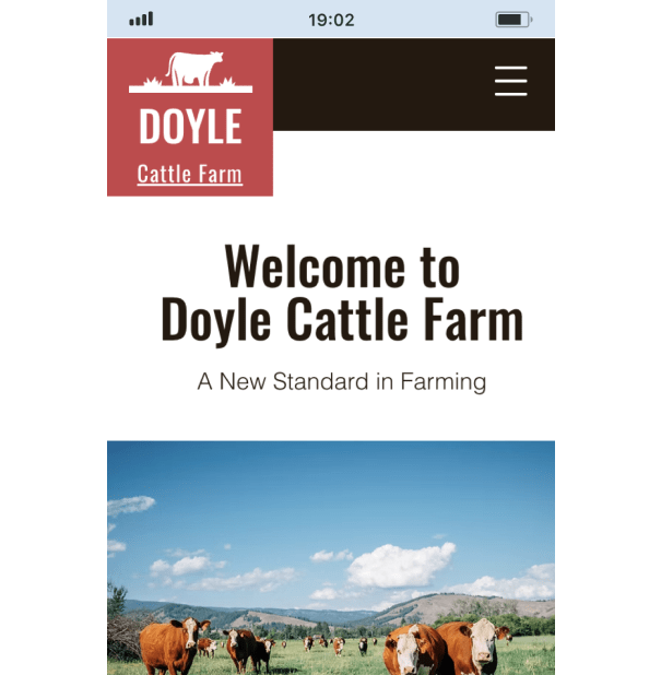 Example 2 of a ‘most popular’ website design in desktop and mobile.